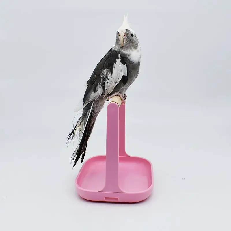 Parrot Perch Desktop Training Platform Food Cup Stand For Lovebirds Thickened Storage Detachable Practical Durable Pet Supplies