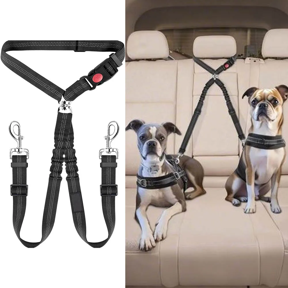 #15 Compare Pet Harnesses Before You Buy