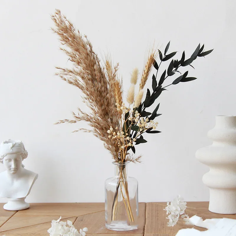 Fluffy Phragmites Pampas Natural Pampa Grass Dried Flowers LeavesReal Reed Small Palm Leaves Boho Home Wedding Party Decoration