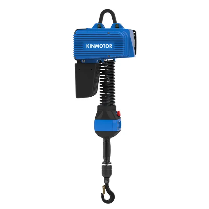 Factory Direct Top 5 Smart Electric Hoist D3L012 Station 125KG With FULL TOUCH HANDLE Chain Sling Type High Quality From China