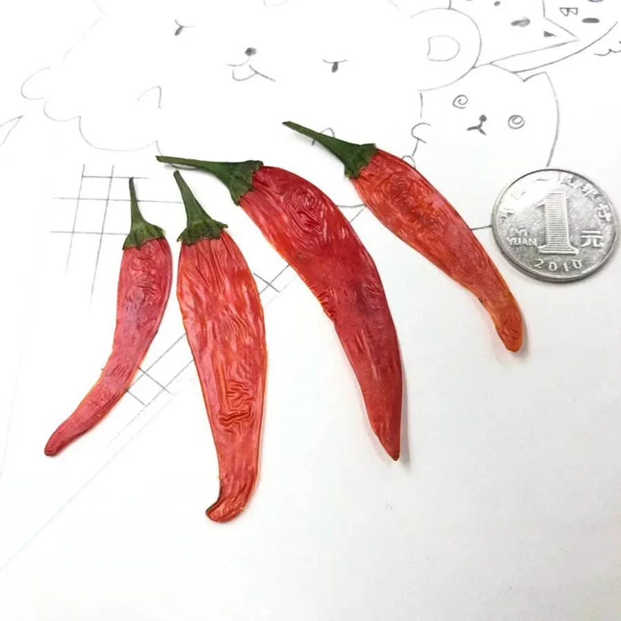 10pcs 5-7cm Pressed Dried Red Chilli Vegetable Plant Herbarium For Jewelry Postcard Invitation Card Phone Case Bookmark Making