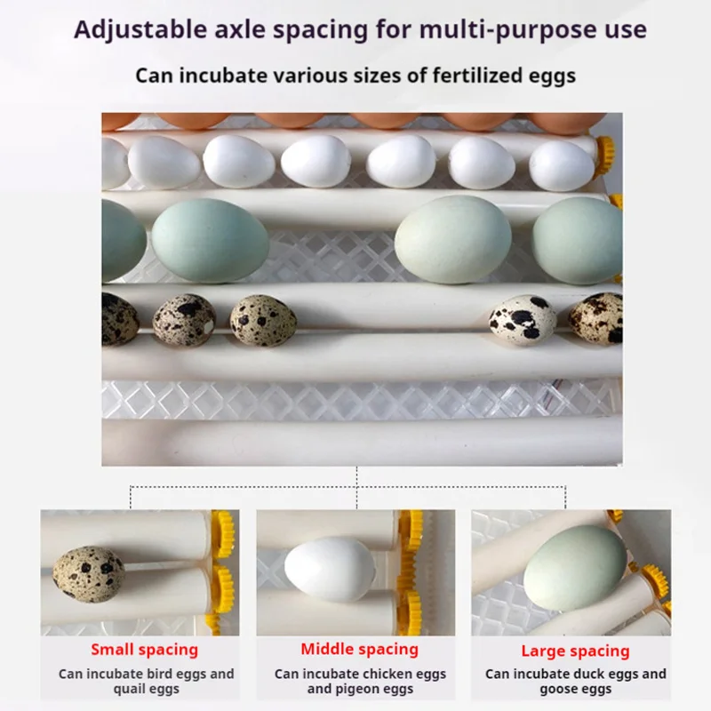 حاضنة بيض ذكية أوتوماتيكية بسعة 16/36 تستخدم آلة حضانة صغيرة للمنزل دجاج بطة أوزة حمامة تحول الاختيار