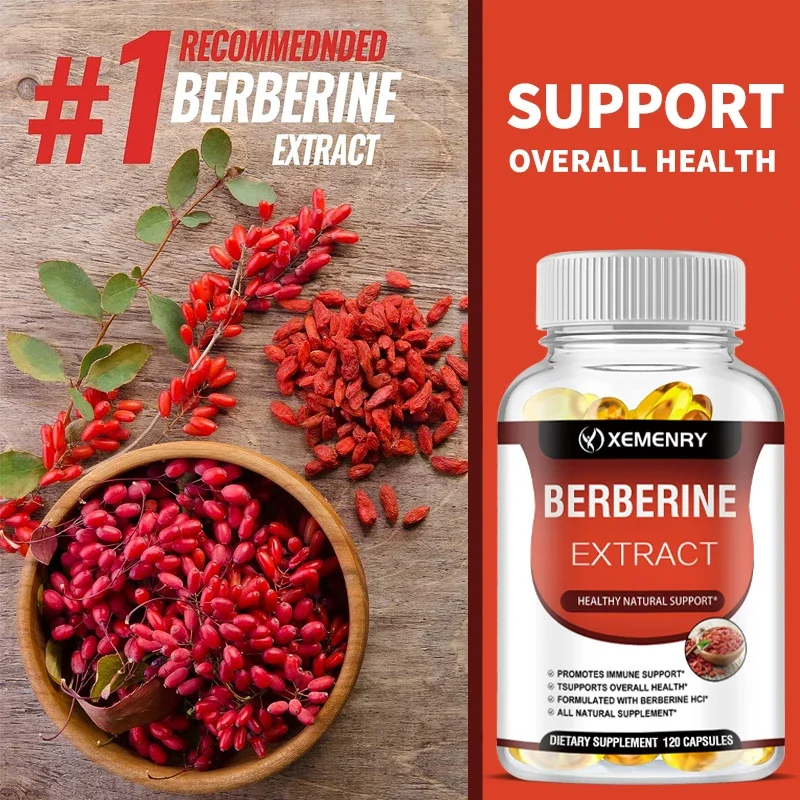 Berberine-capsules - Ondersteunt de bot- en cardiovasculaire gezondheid, bevordert het metabolisme, anti-oxidatie en verbetert de immuniteit