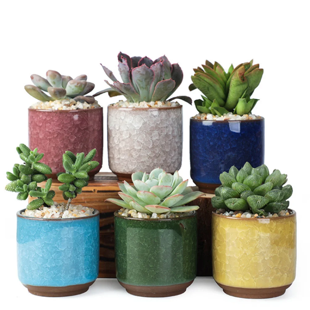 6pcs Ceramic Succulent Planter Pots Coloured Ceramic Flower Pot for Home Office Decor (Dark Blue, Red, White, Yellow, Green, Lig