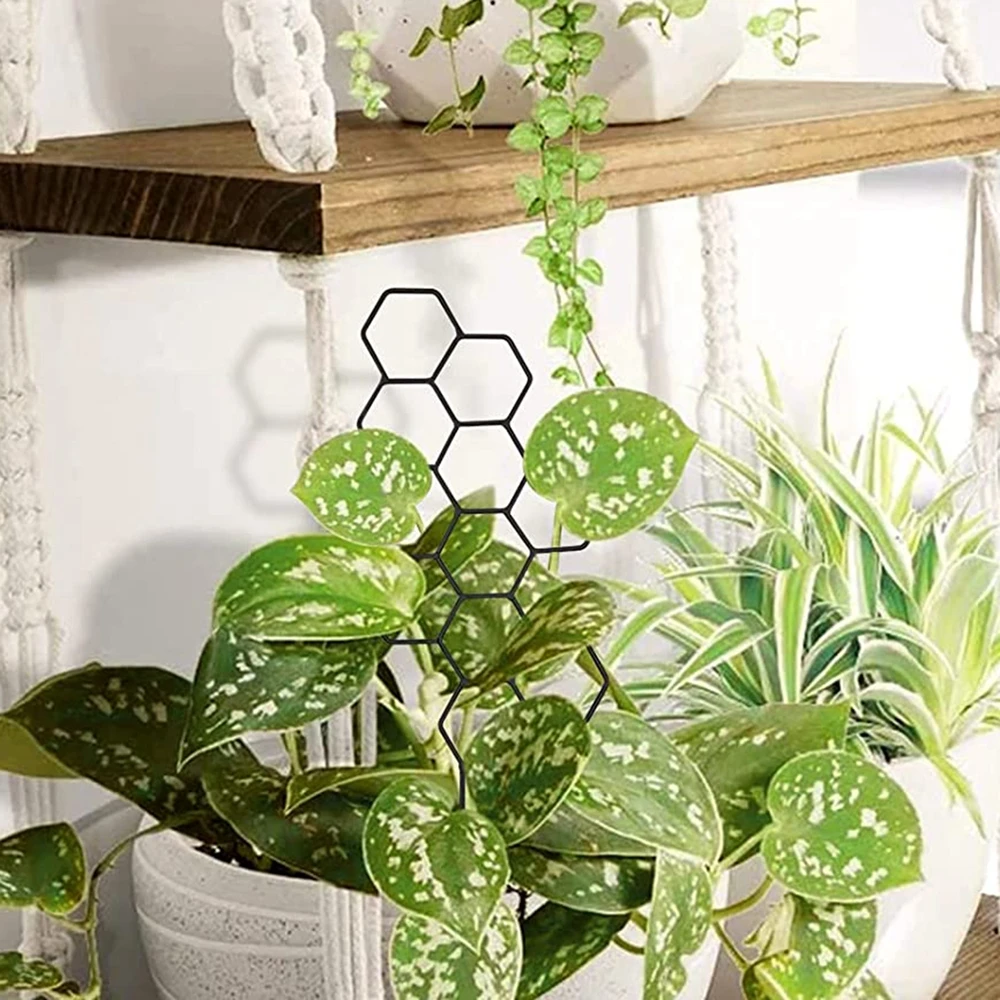 Enrejado de Metal con forma de panal para plantas, estaca hexagonal para escalar, soporte para plantas de interior, estante de flores para balcón, 1