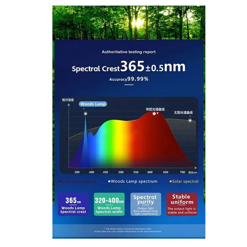 【ESSENZIALI】Lampada per legni Analizzatore della pelle Lampada Pelle Lente d'ingrandimento UV Analisi della pelle Rilevamento Bellezza Test del viso Cura della pelle Spina europea