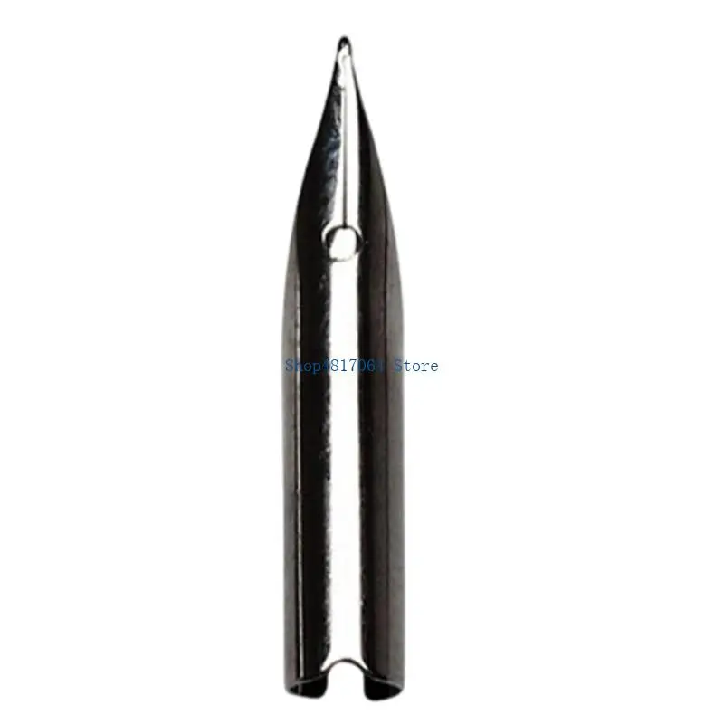 T3LB 10Pcs Fountain Pen Replacement Nibs Interchangeable Metal Fountain Pen Tip For Copperplate Script Writing and Sketching