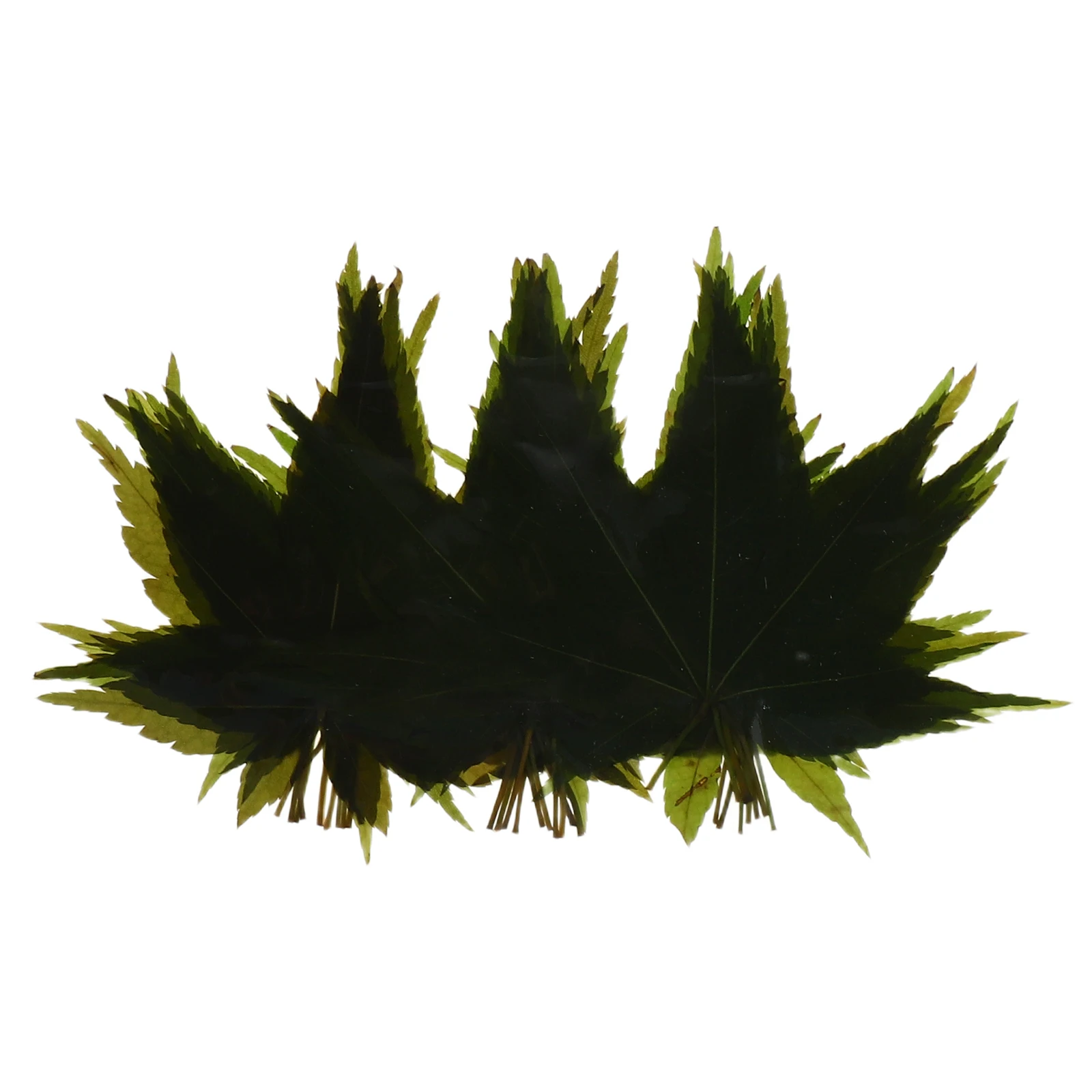 

1 Bag Decorative Grass Maple Leaf Sushi Platter Sashimi Serving Tray Japanese Food Decoration Backdrop For Kitchen Bar Dining