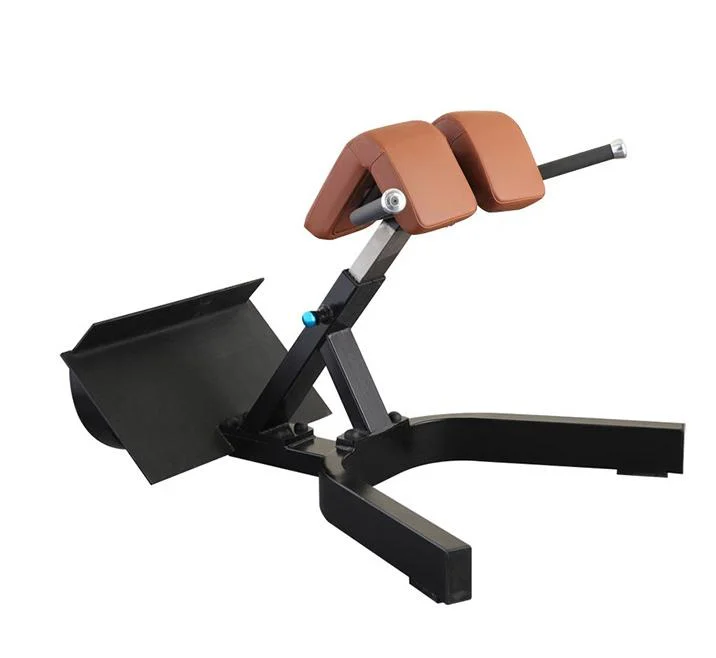 Equipments Adjustable Sports Abdominal Muscular Training Machine Commerical Back Extension Roman Chair