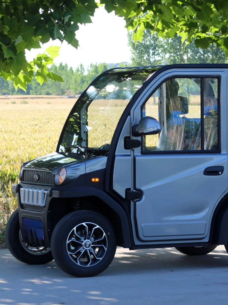 Customize the old man's mini electric car, ladies' small four-wheeled double-person household pick-up children's