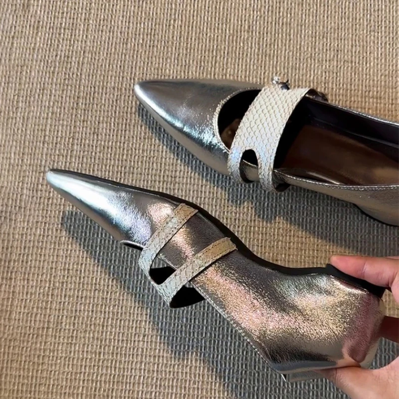 

Luxury Women's Shoes Pointed Toe Designer Heeled Shoes for Woman Spring Sandals 2026 New Low Heels Dress Party Mujer Zapatos