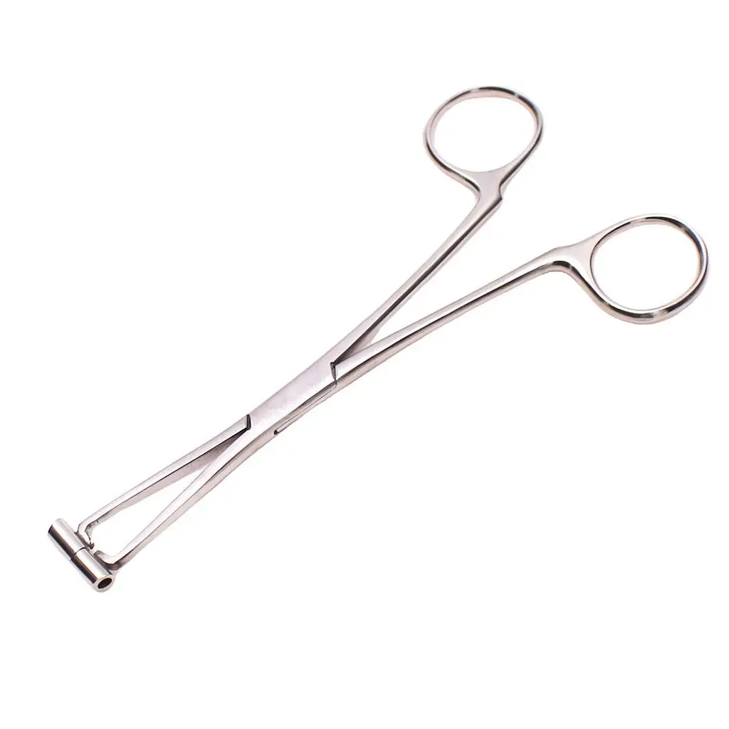 6inch Professional Stainless Steel Septum Forceps Body Piercing Clamp