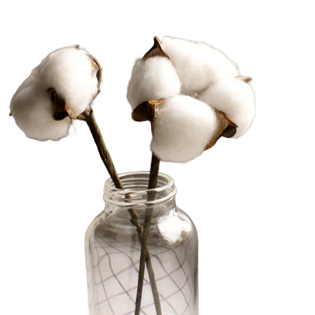 Realistic Dried Cotton Flower Stems for Wedding Decor Photography Props Home Decoration Natural White Head 22cm Length