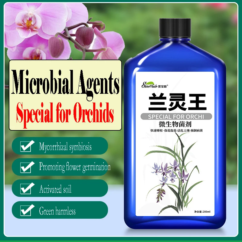 Orchidaceae Plant Orchid Special Fertilizer Microbial Bacteria Nutrient Solution Promoting Bud Promoting Peanut Root