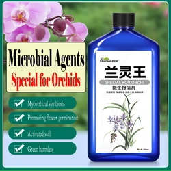Orchidaceae Plant Orchid Special Fertilizer Microbial Bacteria Nutrient Solution Promoting Bud Promoting Peanut Root