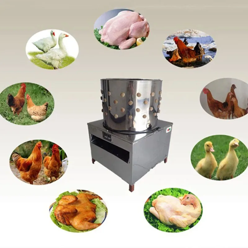 New Poultry Plucker Machine 220v Quail Bird Hair Removal Plucking Machine Poultry Plucker Birds Epilator