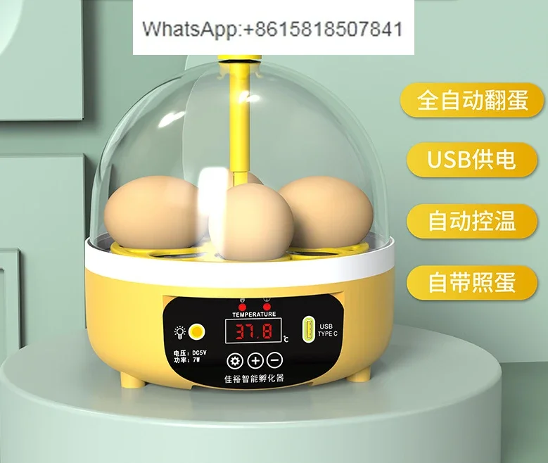Mini 4 pieces 6 pieces chicken egg incubator Small household science and education incubator Intelligent automatic egg incubator