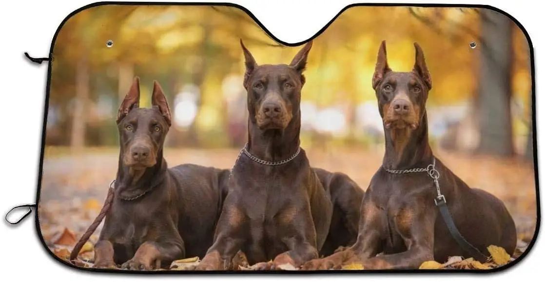 

ChinaOEM Doberman Dog car Windshield Sun Shade car Truck SUV Block Uv ray Universal Suitable Vehicle Window Cover Sun Visor Prot