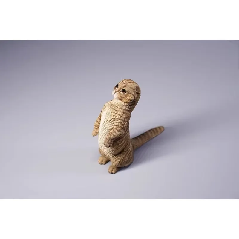 JXK 1/6 échelle écossaise pli résine/métal Simulation mode mignon jouets pour animaux de compagnie modèle de 12 pouces figurines d'action accessoires d'ornement