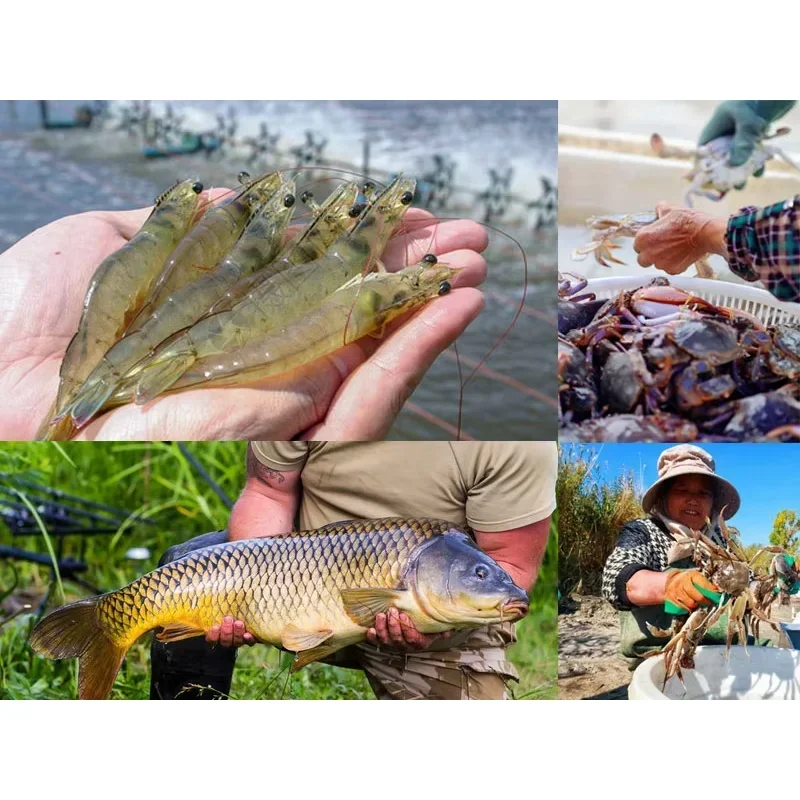 Root blowers for aquaculture fish ponds and shrimp ponds, specialized oxygenated root blowers