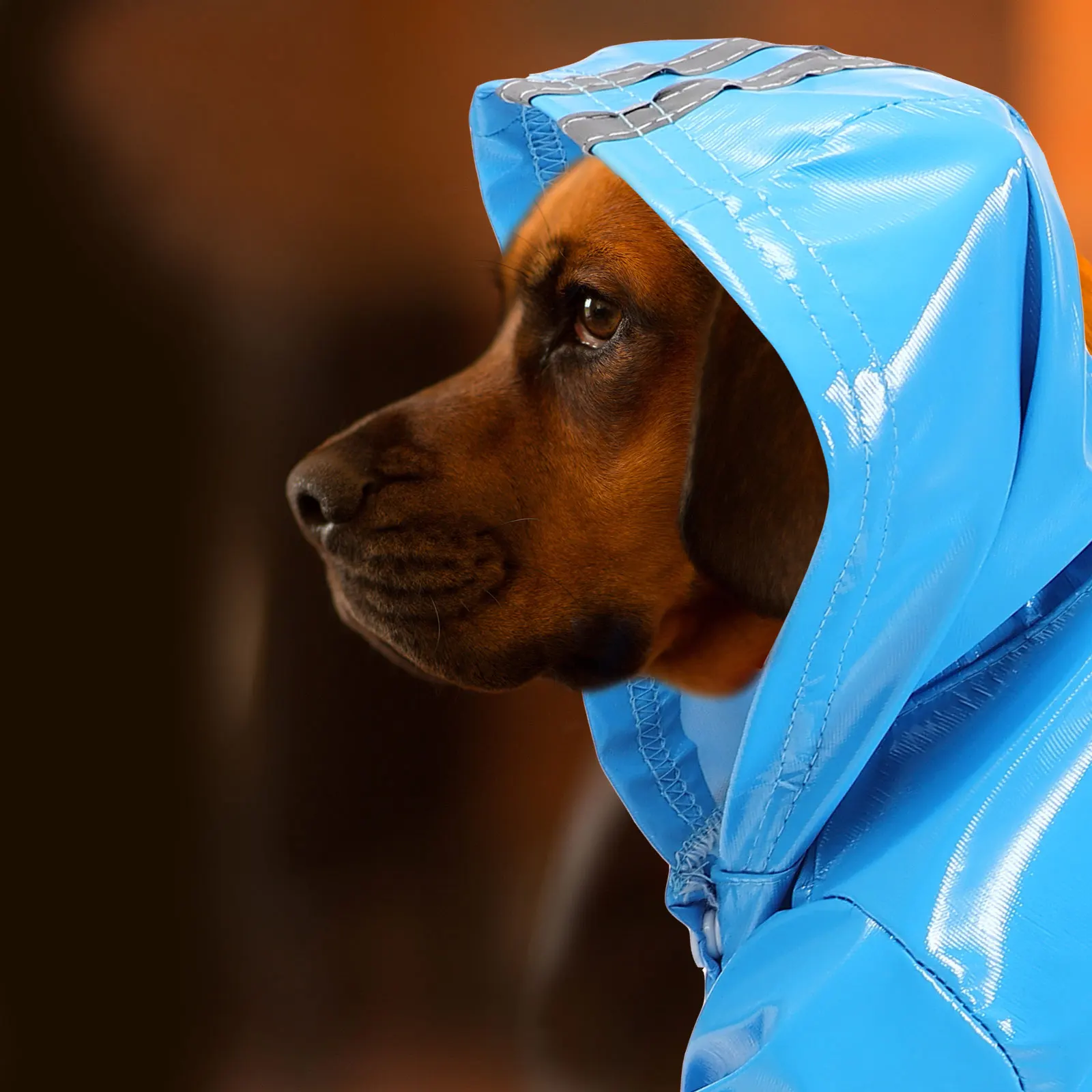 

Dog Raincoat Waterproof PU Coated Medium Dogs Hood Lightweight Compact Fashionable Walking Jogging Outdoor Dog Rain Jacket Pet