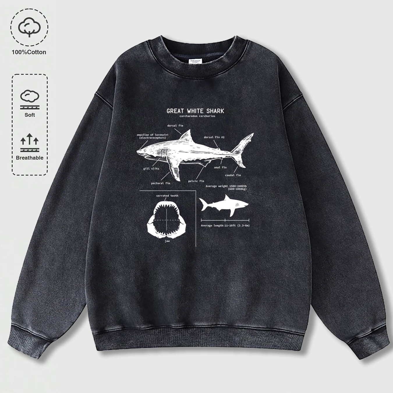 

Мужские потертые толстовки с эволюционной историей акулы, модные свободные пуловеры, одежда в стиле ретро, хлопковая повседневная уличная одежда унисекс