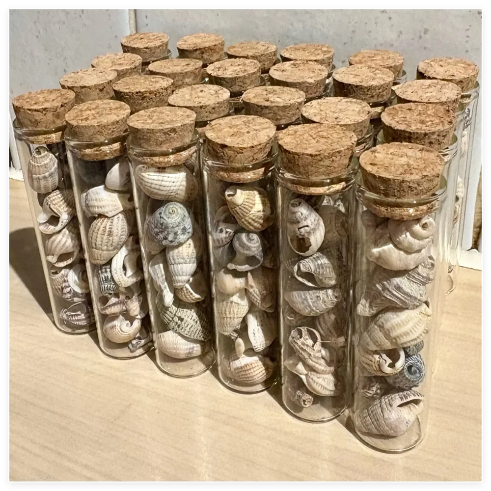 24/40 PCS Diameter 25mm 30ML Empty Glass Bottles with Cork - Decorative Wedding Gift Jars, DIY Candy/Dragees Test Tube Vials