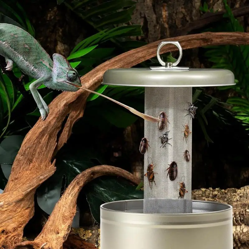 Reptile Feeder Escape Proof Water Bowl Basin Chameleon Bowl Feeding Bowls Lizard Feeding Dish For Dragon Leopard Gecko Lizard