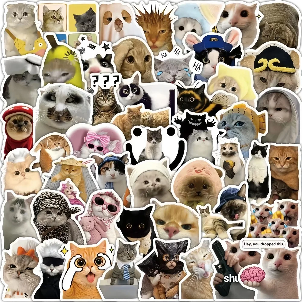 15/320Pcs Cat Meme Stickers, New Arrival Cute Kitten Funny Meme Decals, DIY Decor Stickers, Ins Trendy Pet Decal