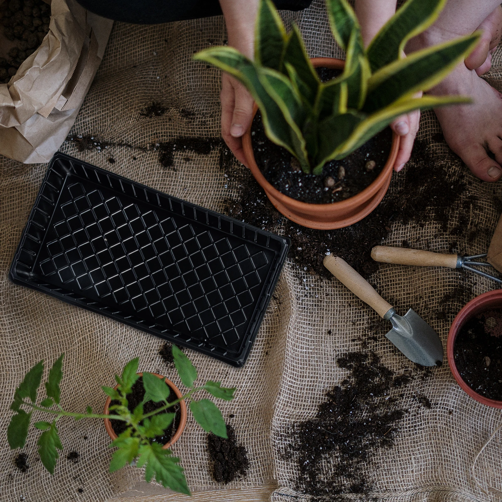 

5 Sets PVC Seedling Trays Plants Nursery Tray Germination Planter Plate Flat Growing Trays Indoor Flowerpot Gardening Supplies