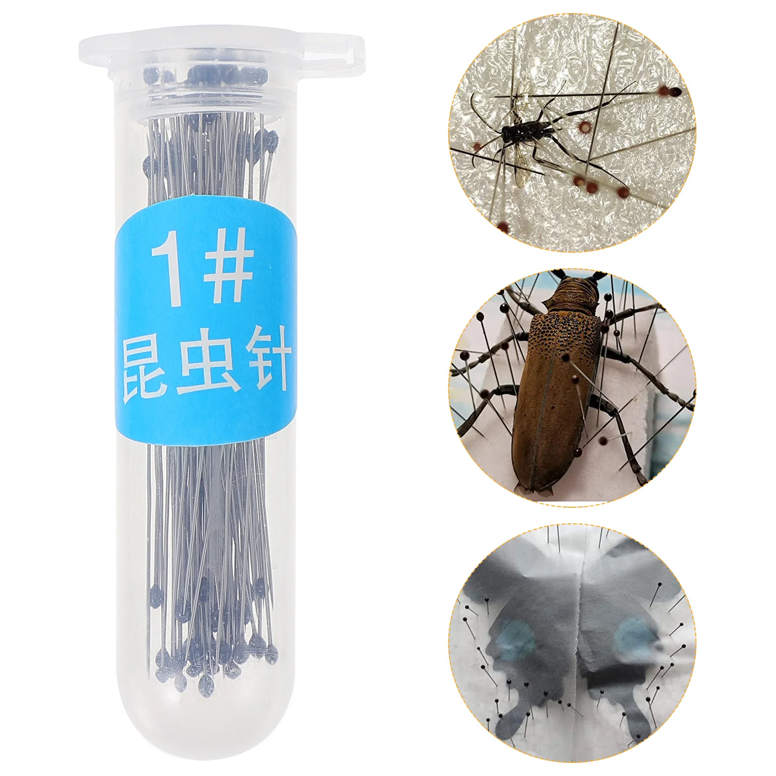 

200Pcs Specimen Pins Stainless Steel Collection Needles for Entomology Insect Display Mounting Kit Pin Specimen Pin