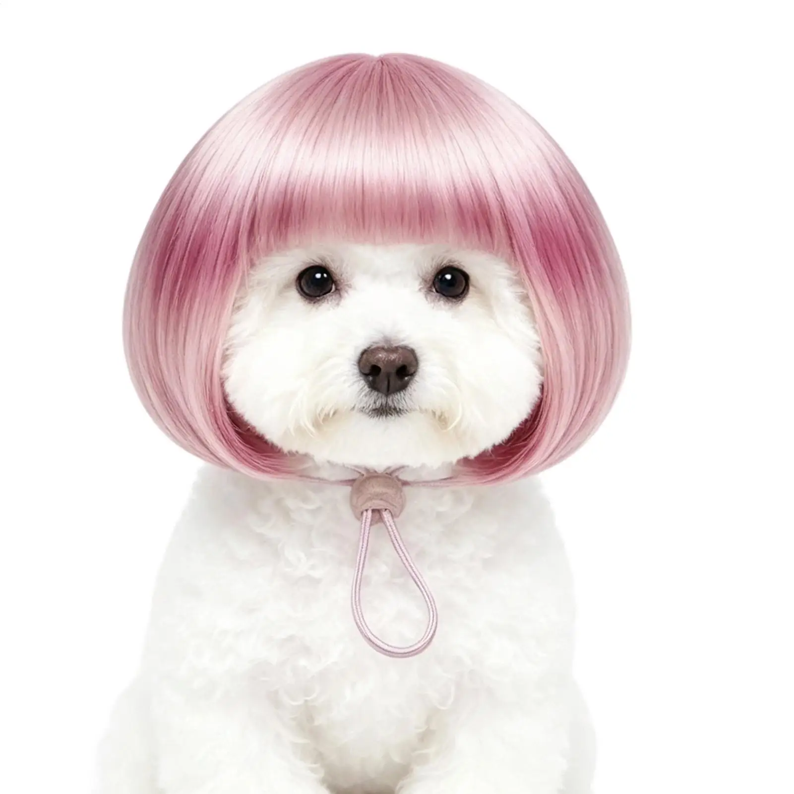 Pet Wigs For Dogs Elastic Bands Adjustable Breathable Mesh Pet Show Performance Stage Wigs For Halloween Cosplay Carnival