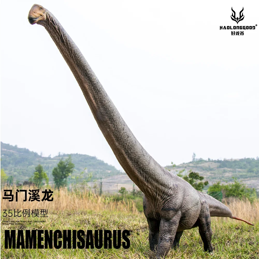 In Stock Haolonggood Original And Genuine Mamenchisaurus Dinosaur Model Toy Handmade Birthday Present Tabletop Decoration