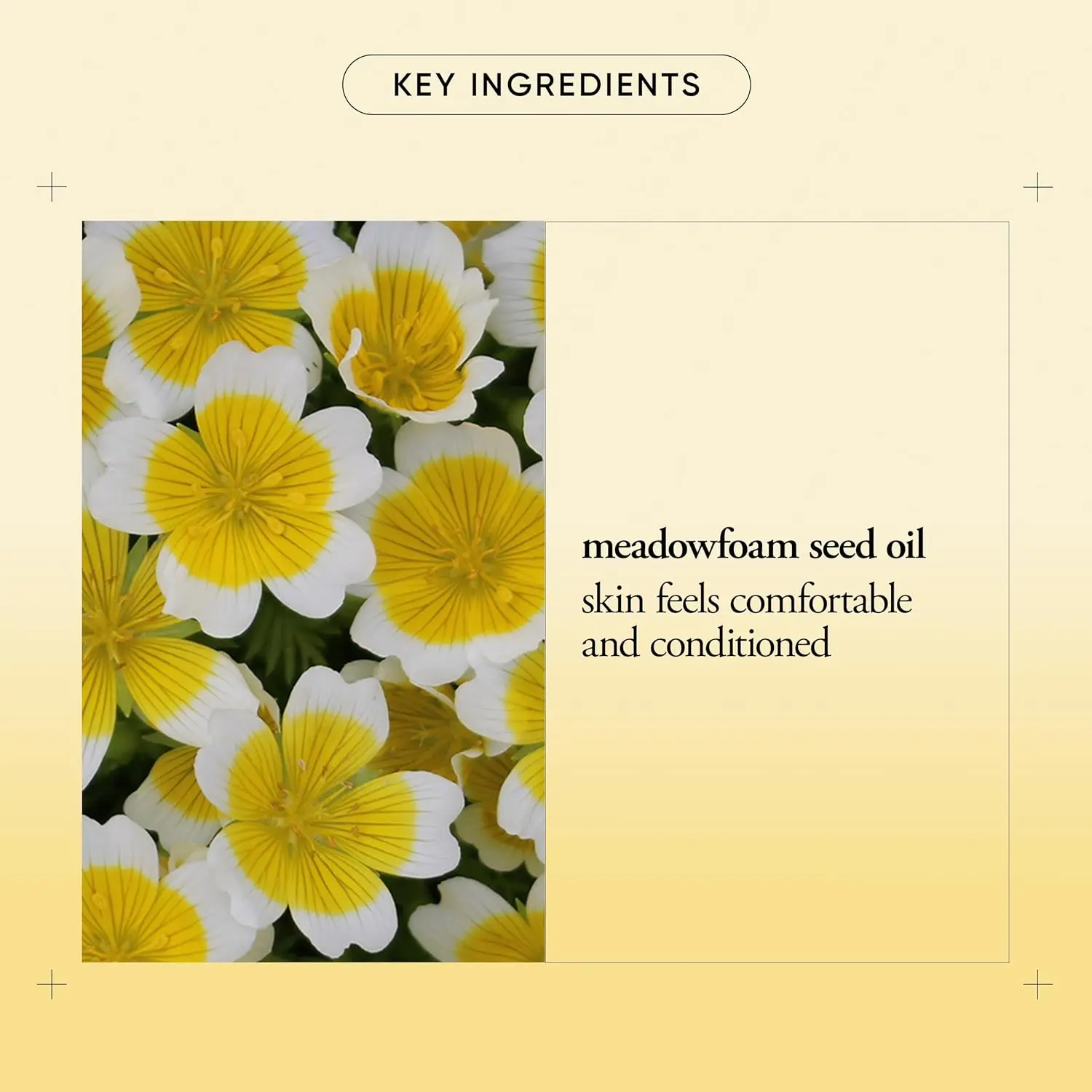 One-Step Facial Cleansing Cloths - Easily Removes Makeup, Dirt & Oil On The Go, No Rinsing Needed