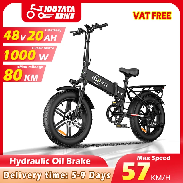 Lafly E-bike 電動自転車 1000W 48V 15ah