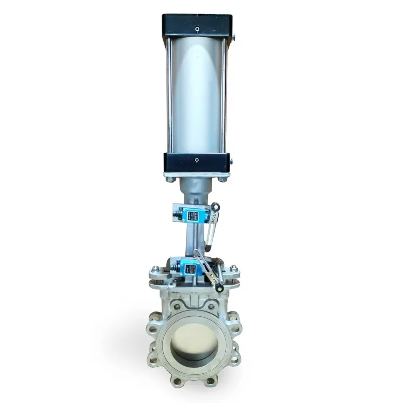 Knife Gate Valve and Manual Slide Gate Valve