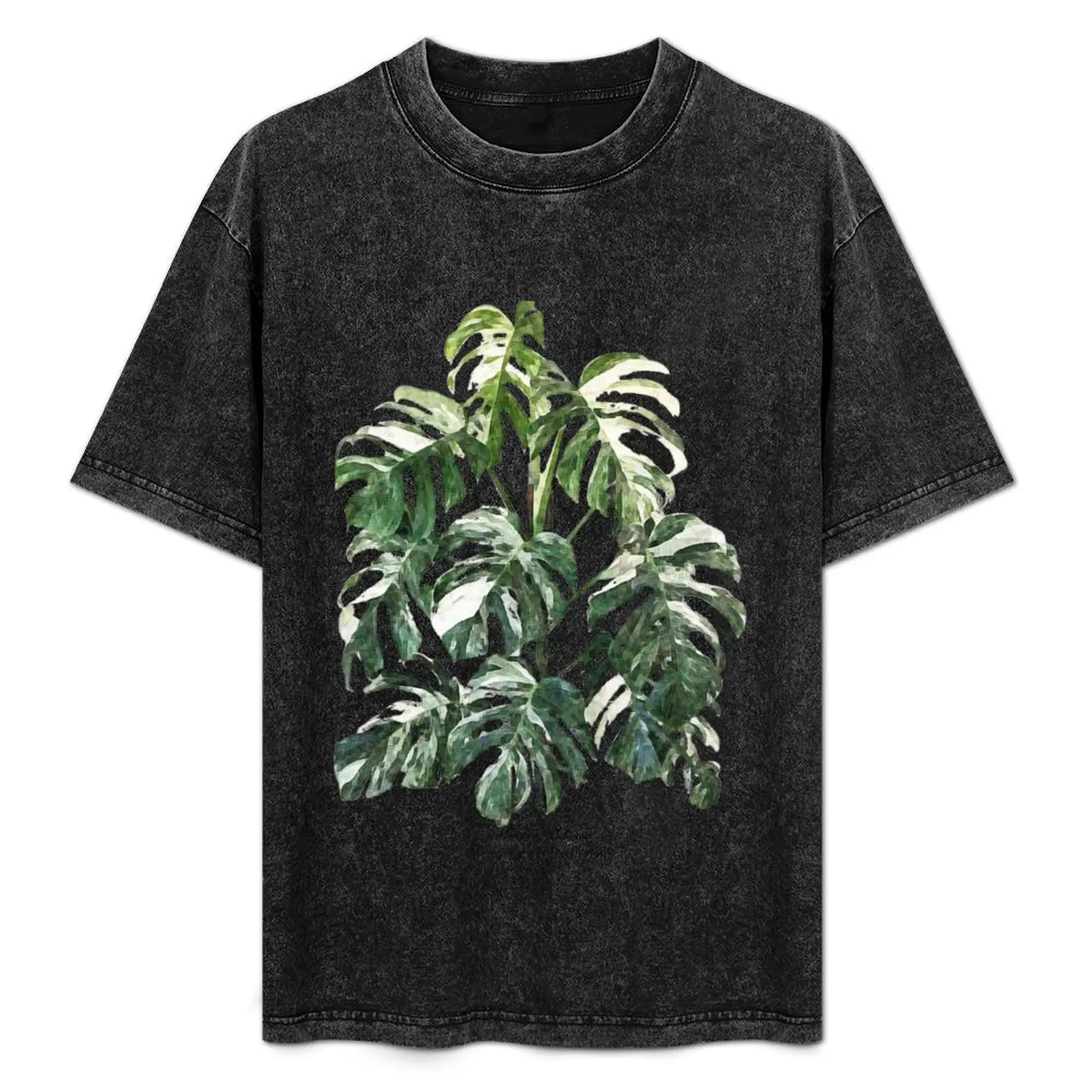 

Monstera Deliciosa Borsigiana Albo Variegata T-Shirt Simple Casual Short Sleeve Cotton T-Shirt