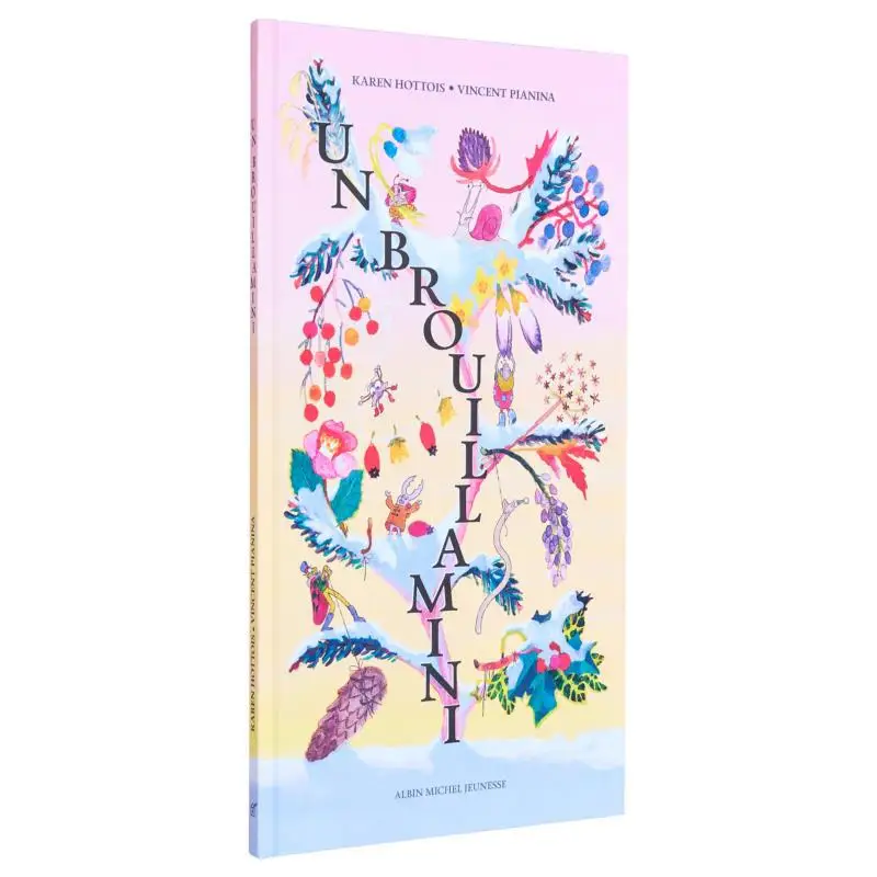 

Un Brouillamini Karen Hottois Albin MichelJeunesse 9782226456052 Book