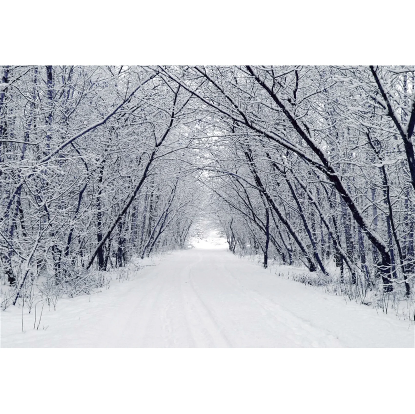 Yeele Winter Forest Tree Photocall Snow Scene Photography Backdrops Decoration Photographic Backgrounds For Photo Studio