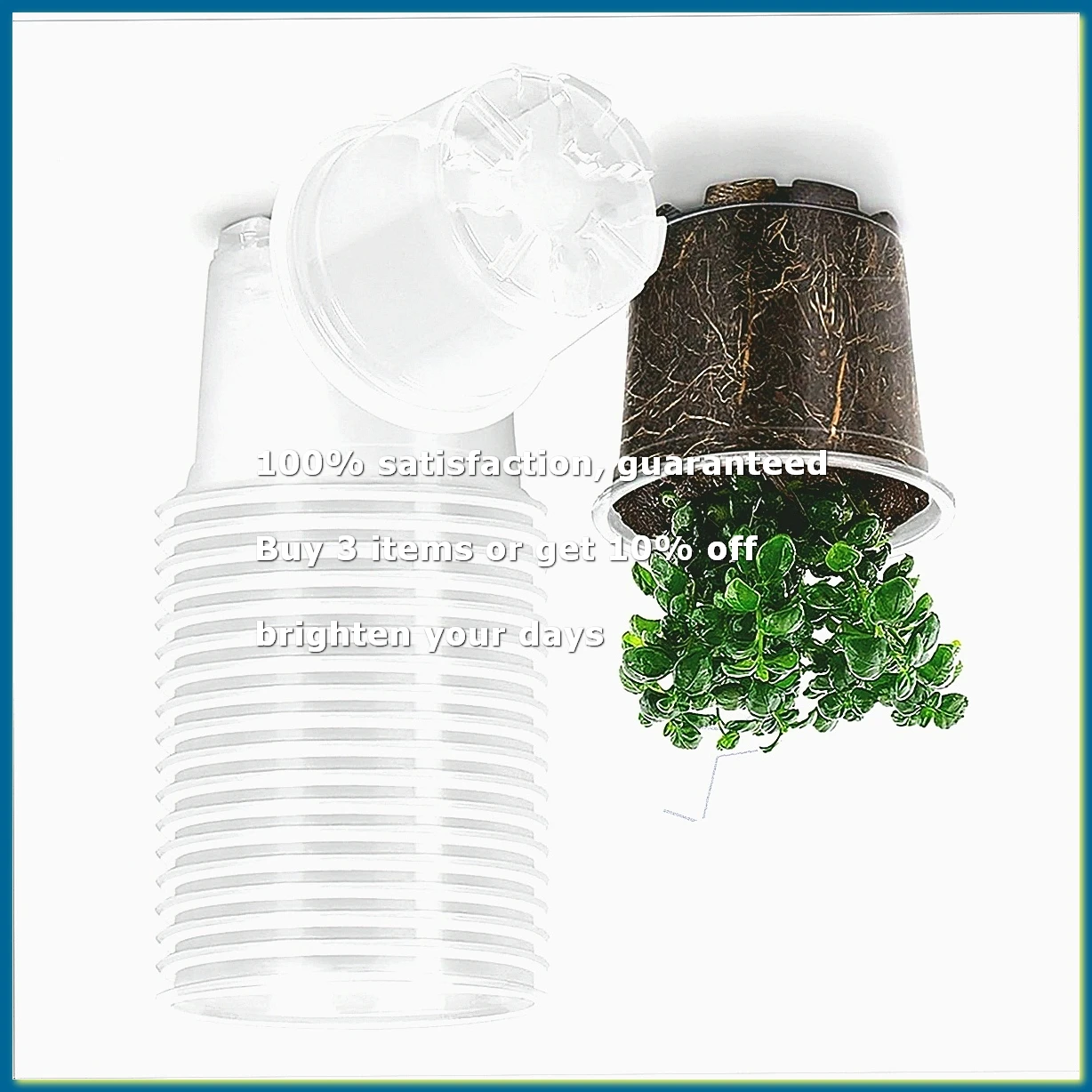 20-Pack 5.7 Inch Transparent Nursery Pots for Plants: Seedling Pots with Water Storage