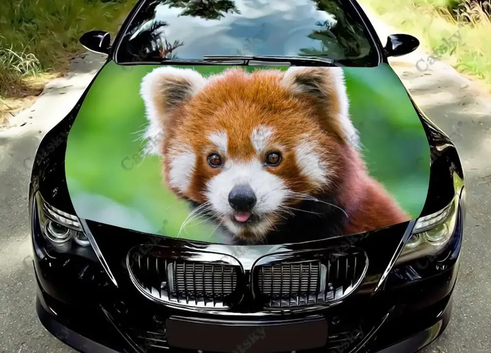 Animal Red Panda Car Hood Vinyl Stickers Wrap Vinyl Film Engine Cover Decals Sticker Universal Car Hood Protective Film