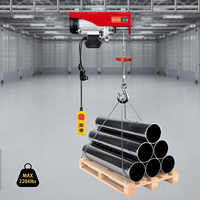 Miniature Trailer Corded Lifting Electric Hoist Load Capacity 800/1000KG Copper Motor Automatic Braking Function
