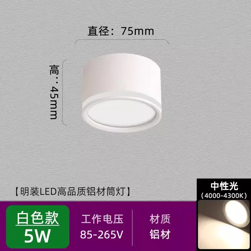 Petit downlight LED ultra-fin monté en Surface, type plafond, rond, ouverture à trou ouvert, éclairage d'allée d'entrée