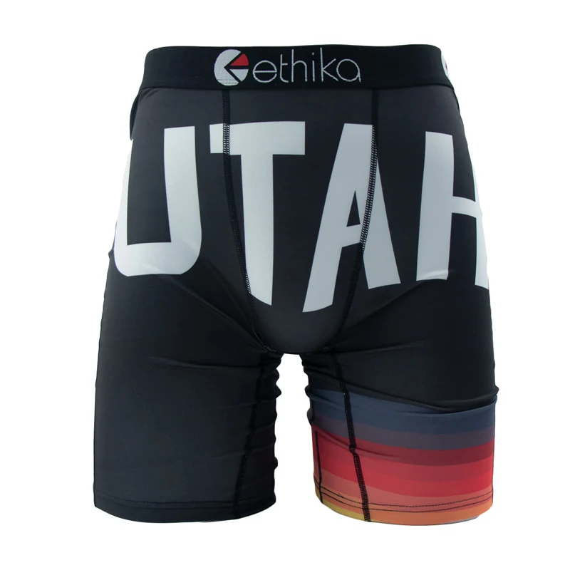 ETHIKA Men Underwear Boxers 1Pcs Breathable Mesh Crotch Man Swimming Underpants Plus Size L-3XL Mens Panties Men's Boxers Briefs image 6