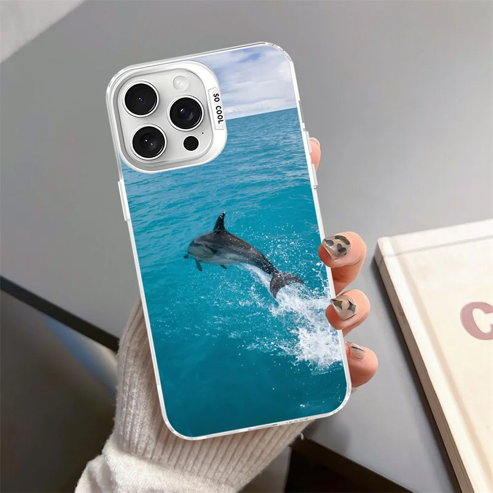 Sea Animal Cute Dolphin Phone Case For iPhone 16 15 14 13 12 11 Pro Max X XR XSMAX Matte Shockproof Back Cover