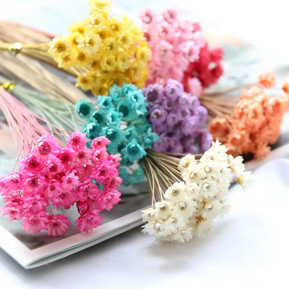 Flores Secas para Decoración Esencial de Bodas y Fiestas, Adornos para el Hogar, Flores Prensadas Fáciles de Usar para Decoración Floral de Fiestas