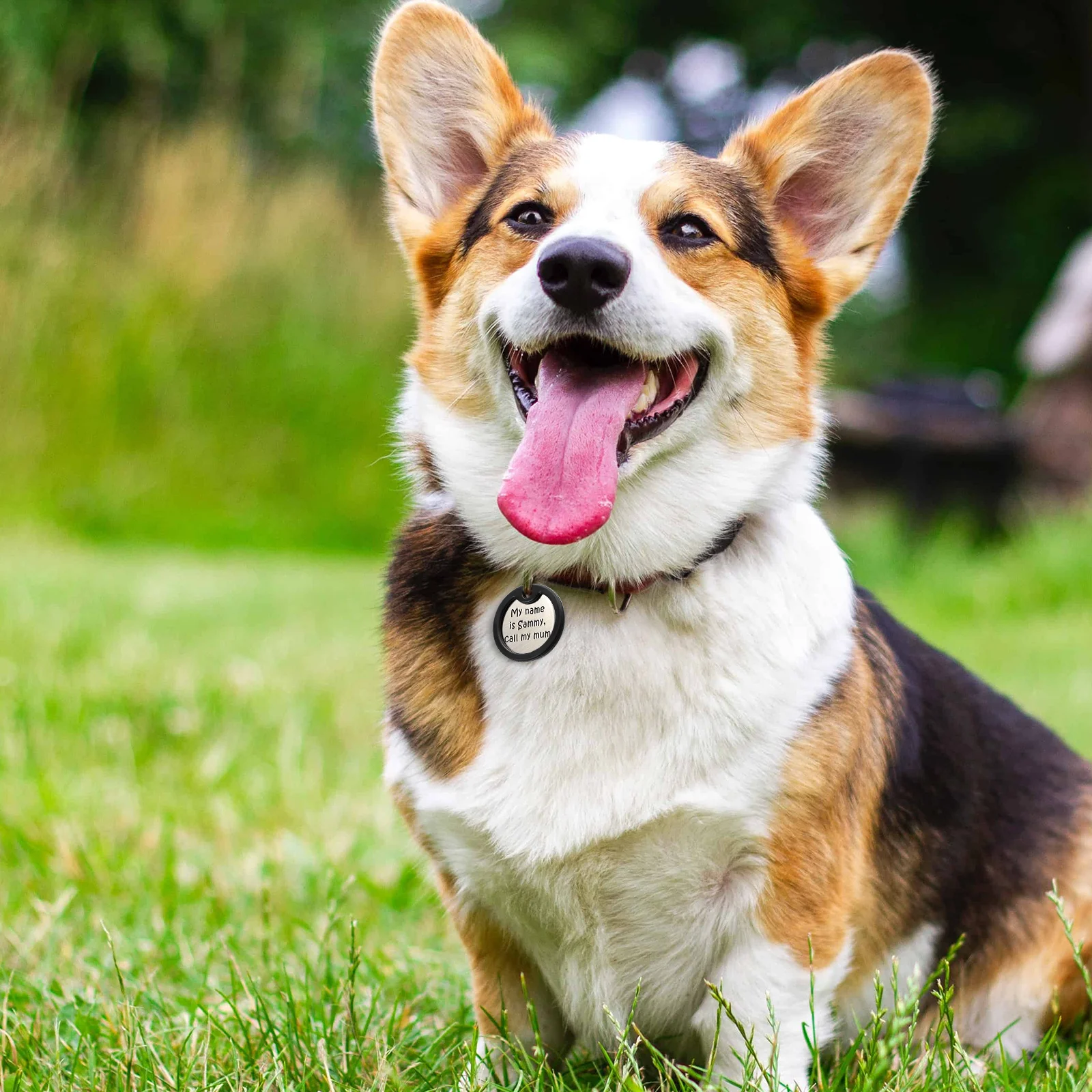 

4pcs Dog ID Tag Silicone Cover Noise Canceller Round Shape Pet Supplies Perfect Fit Metal Tag Reducer Dog Accessories Collar