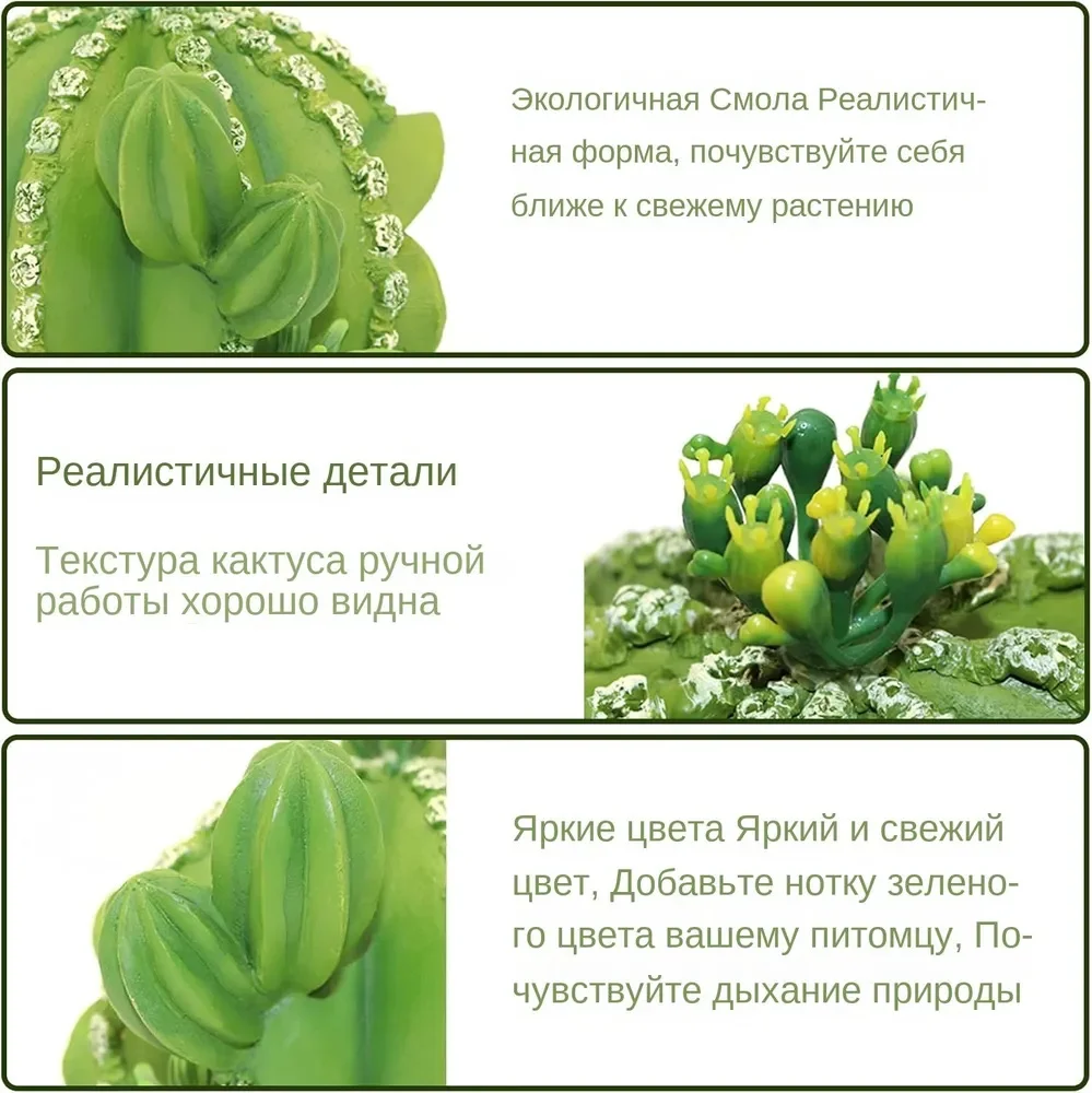 هيرميت كراب مخبأ منزل تسلق الكهف مع خيارات متعددة الحجم مأوى ديكور صغير للمواطن والمناظر الطبيعية تررم