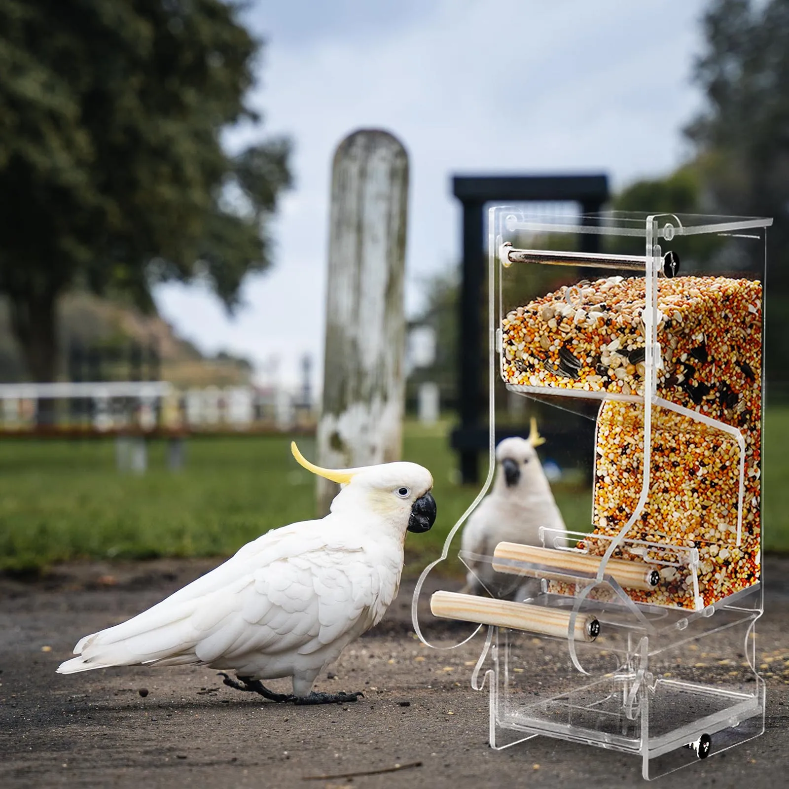 

Acrylic Bird Feeder Automatic Food Dispenser for Parrots Canary Lark Garden Decoration Mixed Food Holder Pet Supplies