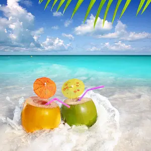 8 최고의 판매 마시는 밀짚 - drinking5